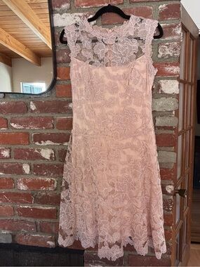 Tadashi Shoji Blush Pink Lace Midi Dress